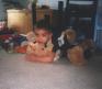 03_samir_bears.JPG